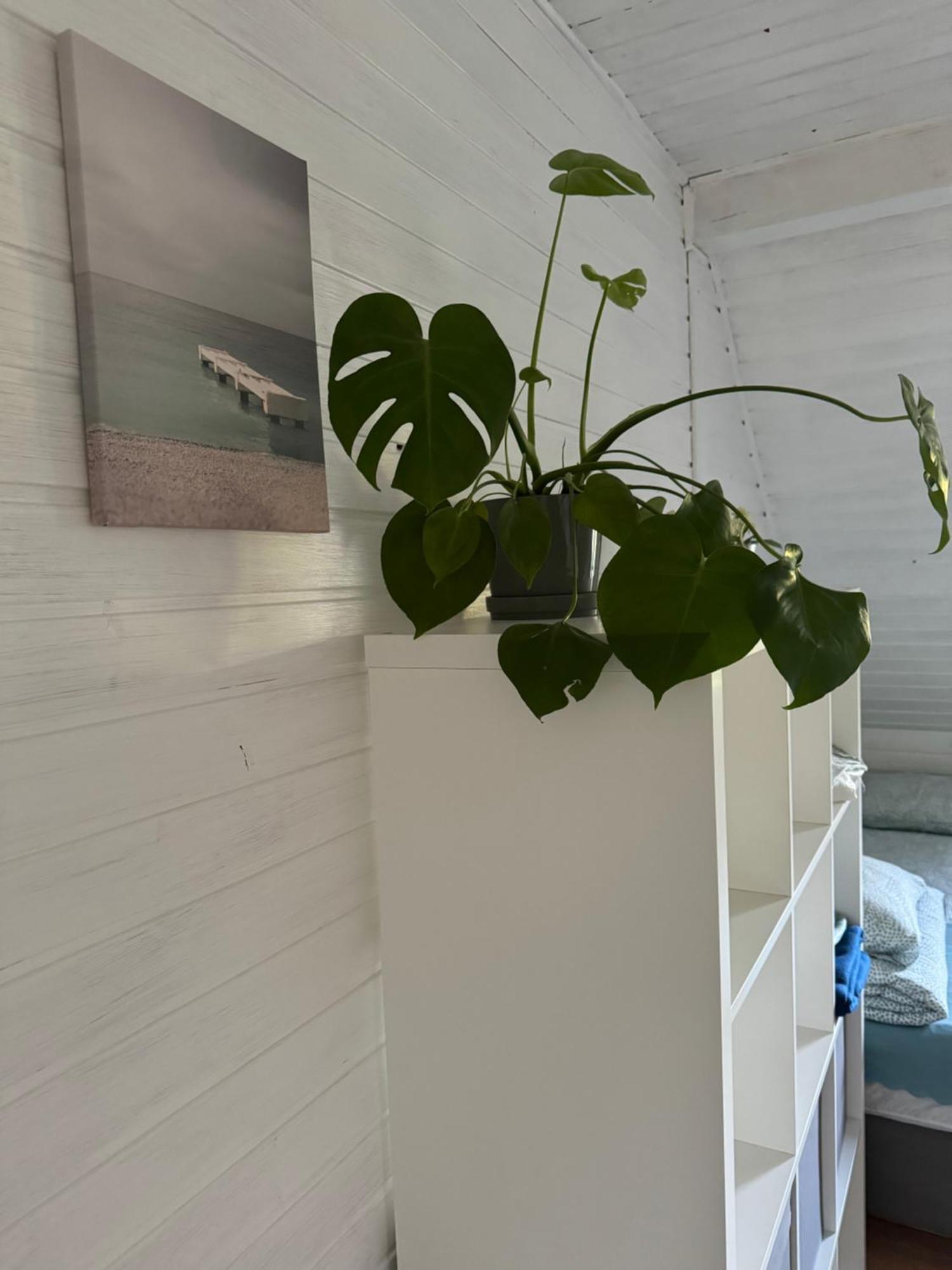 48C Domki Letniskowe I Apartament Pobierowo Luaran gambar