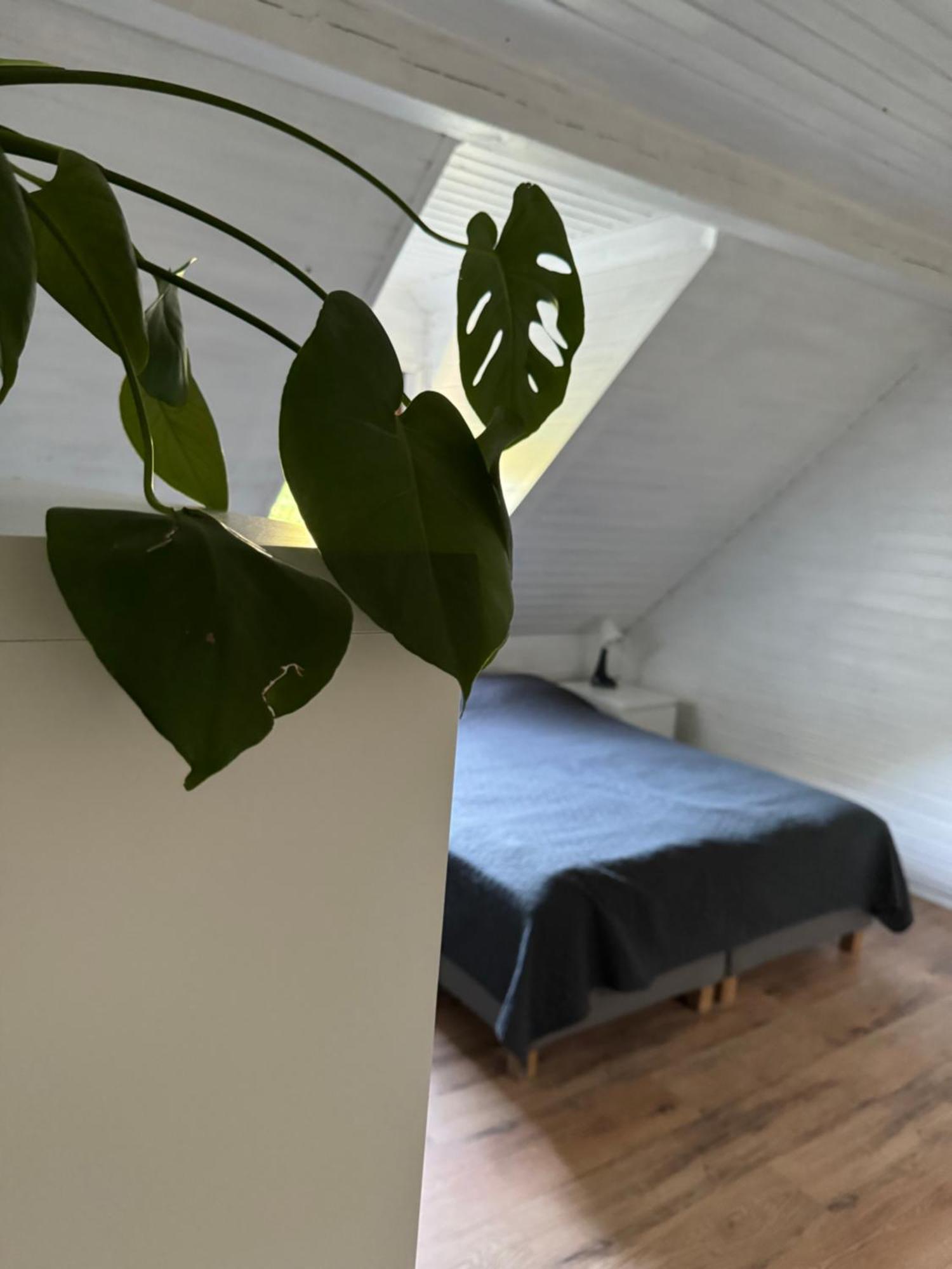 48C Domki Letniskowe I Apartament Pobierowo Luaran gambar